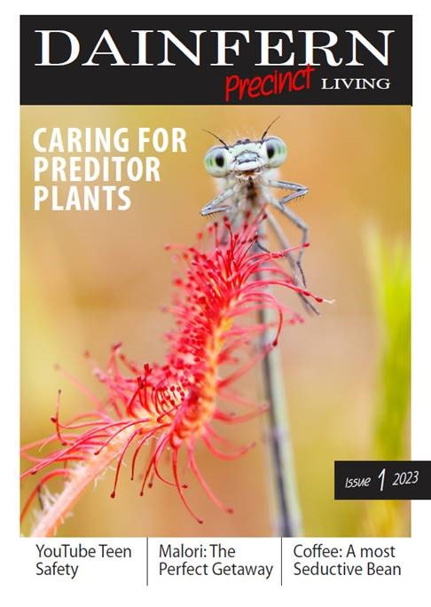 Dainfern Precinct Living Issue 1 2023
