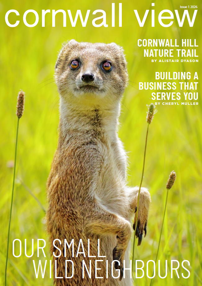 Cornwall Hill Issue 1 February 2026
