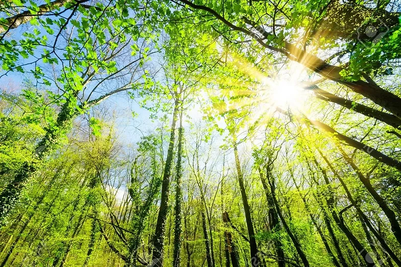 Converting stored solar energy to electricity on demand