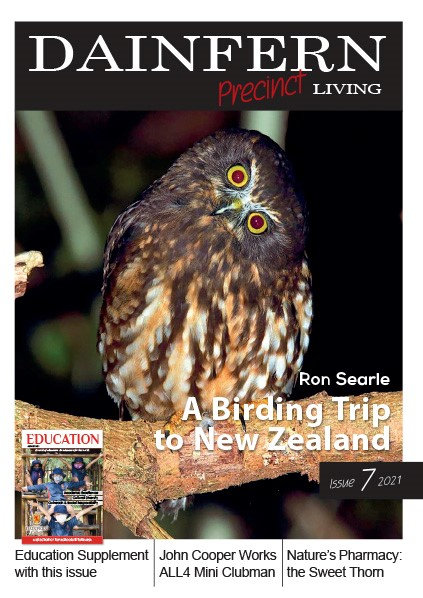 Dainfern Precinct Living Issue 7 2021