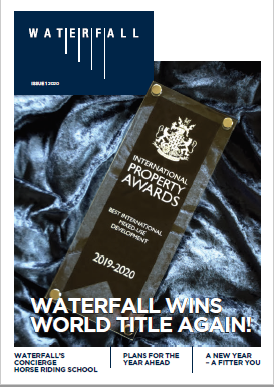 Issue 1 2020