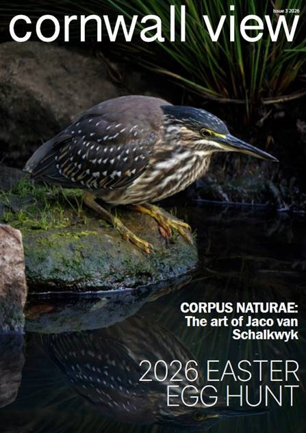 Cornwall Hill Issue 3 June 2026