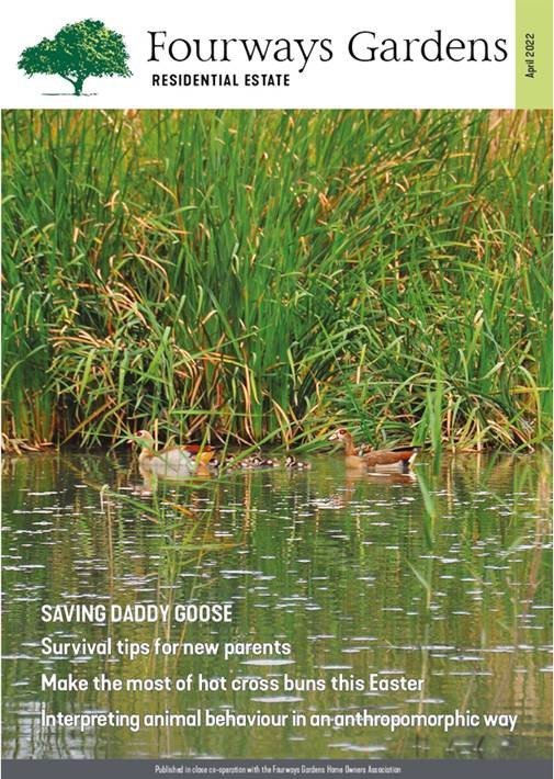Fourways Gardens Issue 3 April 2022