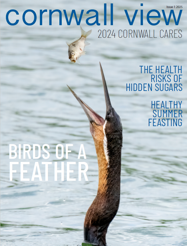 Cornwall Hill Issue 1 February 2025
