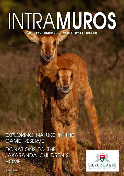 Intra Muros June 2021