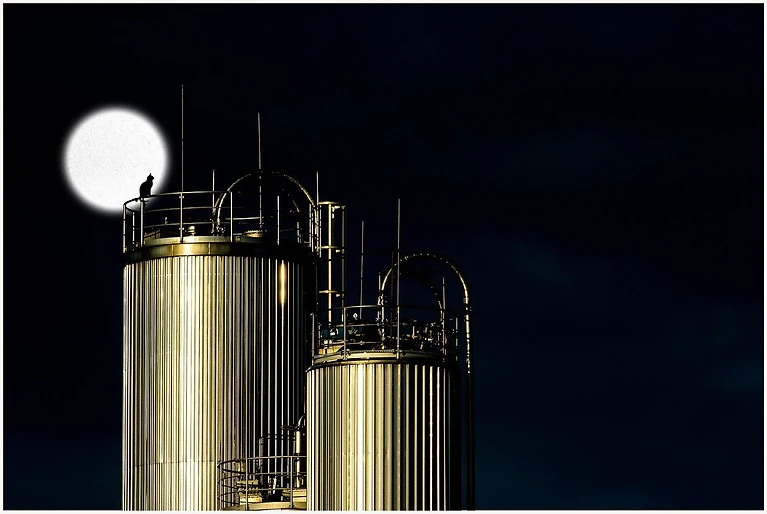 Too big to care?