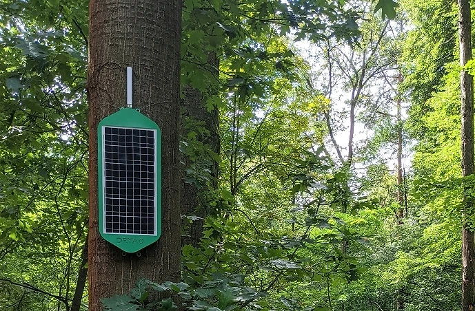 Technology to detect forest wildfires early