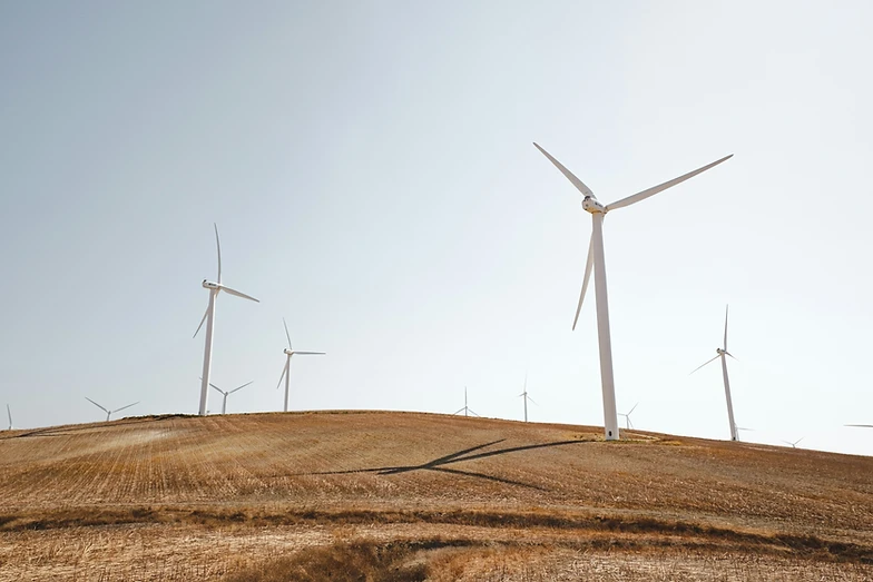 The Western Cape’s energy efforts are bearing fruit – Premier Alan Winde