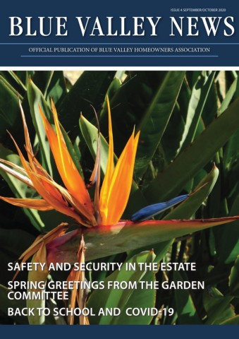 Issue 4 2020