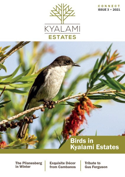 Kyalami Estate Issue 3