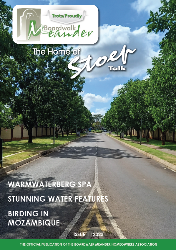 Boardwalk Meander Issue 1 2023