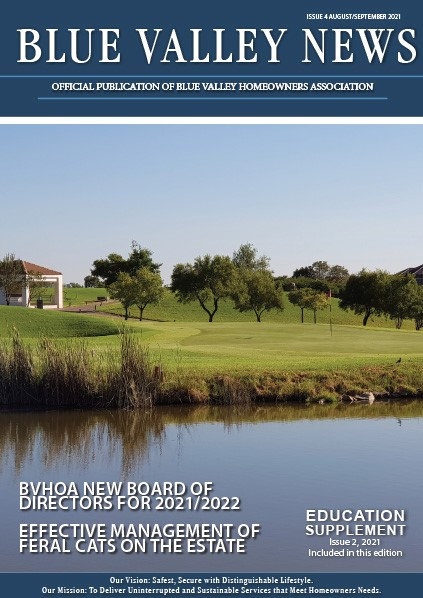 Blue Valley issue 4 2021