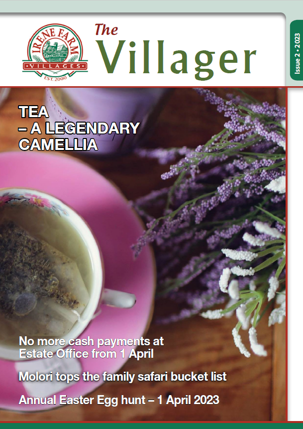 Irene Farm Village Issue 2 February 2023