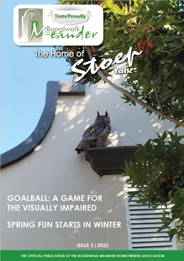 Boardwalk Meander Issue 3 2022