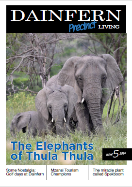 Issue 5 2020 - May