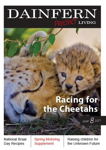 Dainfern Precinct Living Issue 8 2021