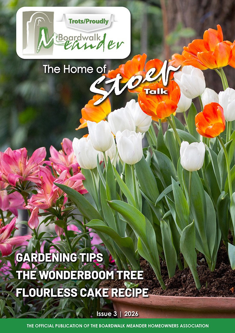 Boardwalk Meander. The August Issue 2026