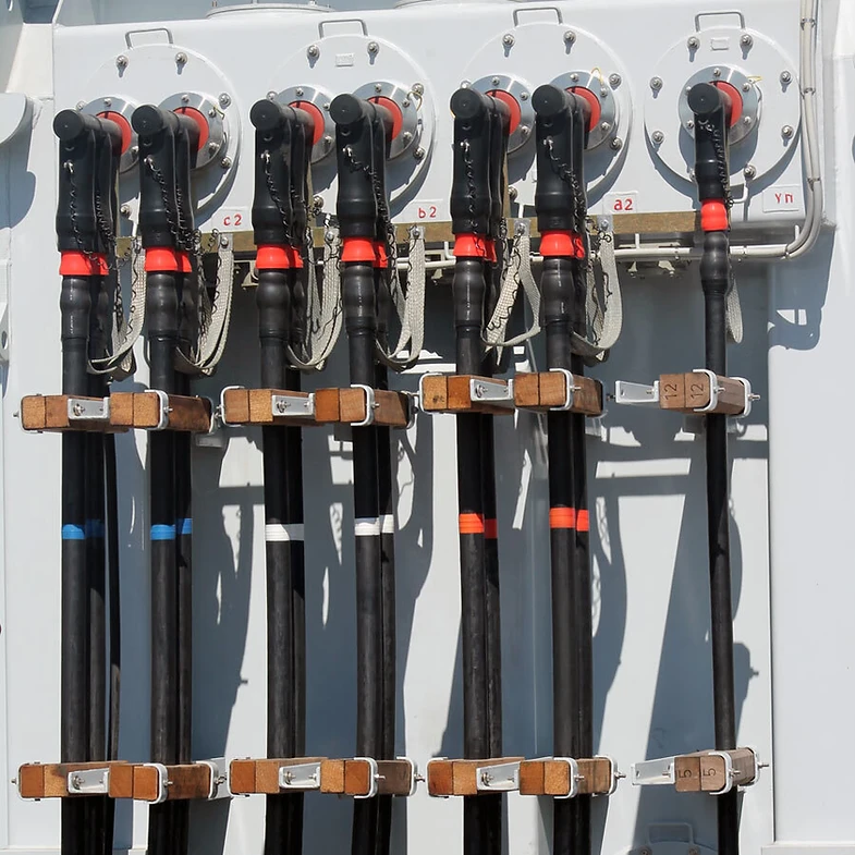 Appointment as sole regional distributor will help local IPPs