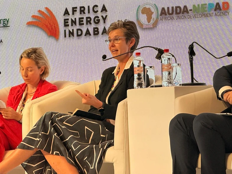 Grid constraints, not capital shortages, delay bankable projects