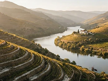 Prova no Vale do Douro