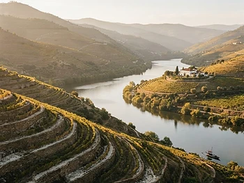 Vale do Douro