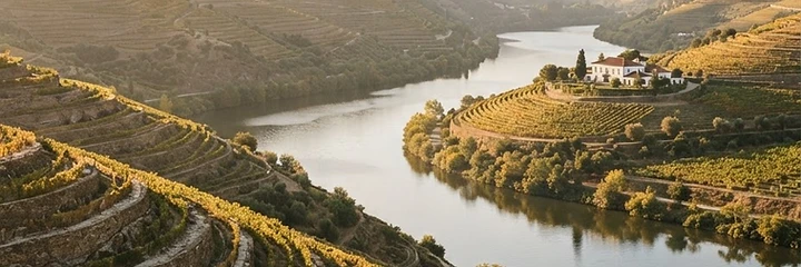 Vale do Douro