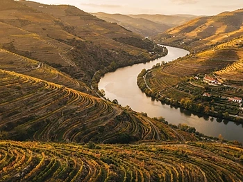 Vale do Douro