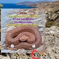 Greece 2026 €5 Greece, 2026, 5 euro, Silver Proof Like Coin, Milos Viper, Presale!