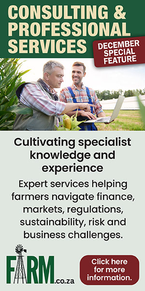 Consulting & Professional Services Web 2026
