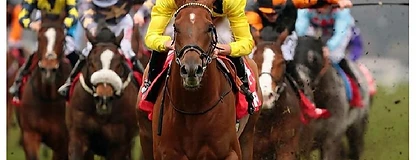 Horse racing action