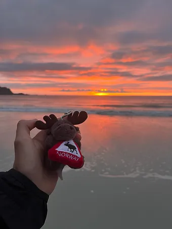 Norský suvenýr při západu slunce na pláži Lofot