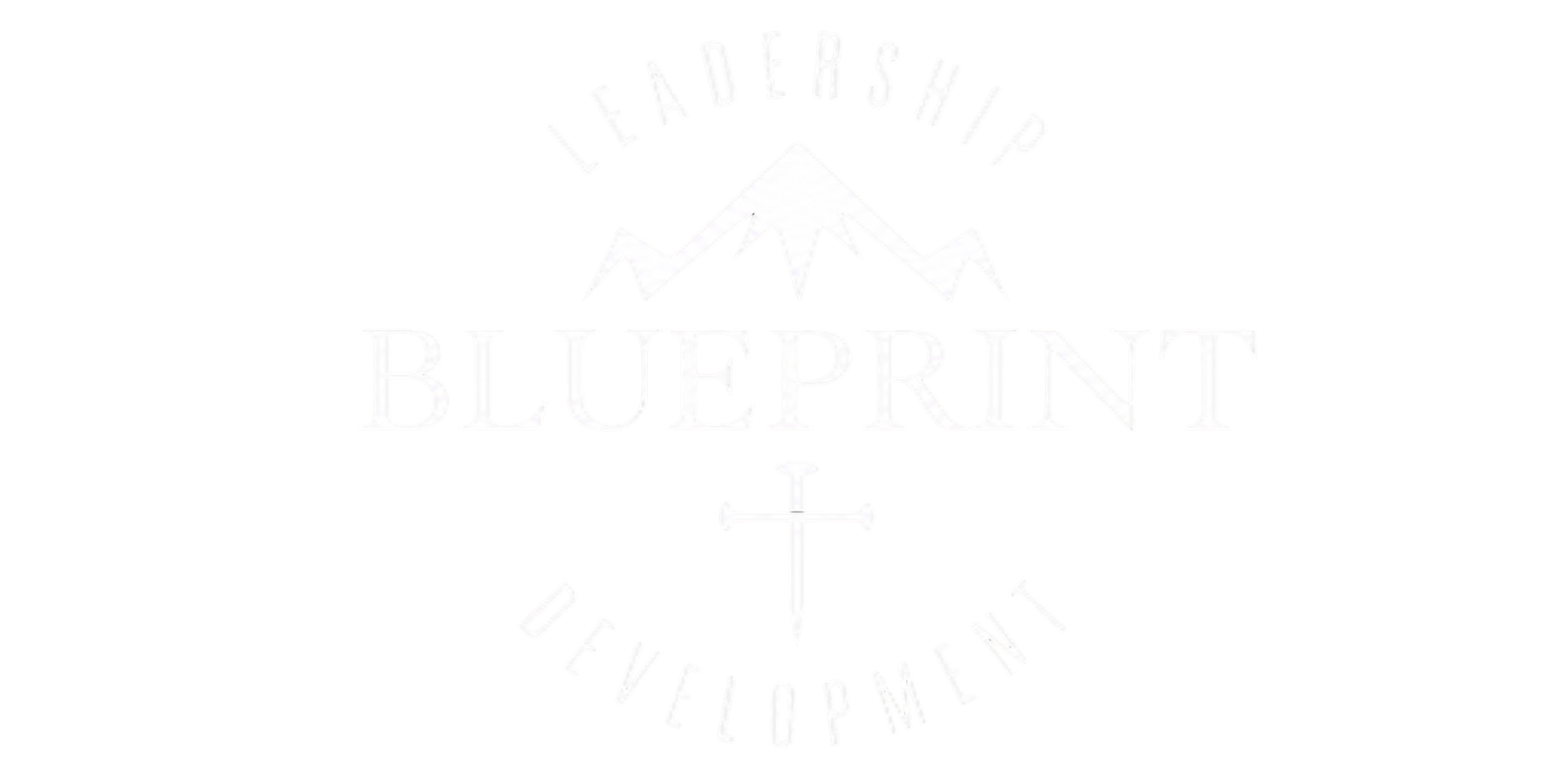 Leadership Blueprint Development