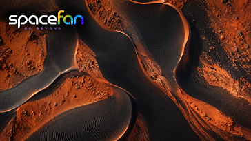 Dark winding sand dunes crossing the reddish-orange surface of Mars.