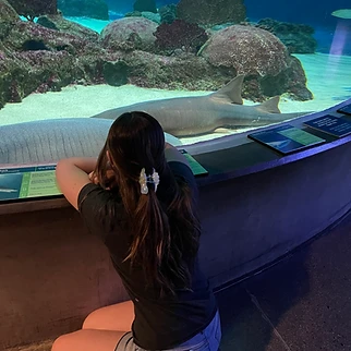 Following a Drop of Water: Our Day at OdySea Aquarium