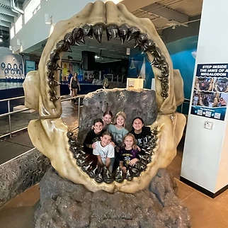 Following a Drop of Water: Our Day at OdySea Aquarium