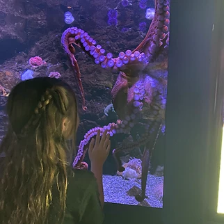 Following a Drop of Water: Our Day at OdySea Aquarium