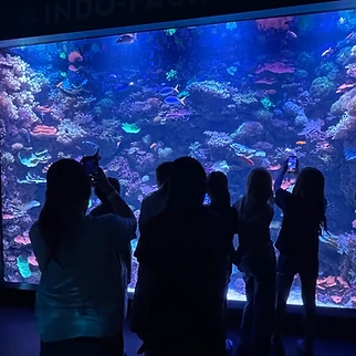 Following a Drop of Water: Our Day at OdySea Aquarium