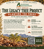 November 14 Community Planting at Four Peaks