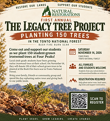 November 14 Community Planting at Four Peaks flyer