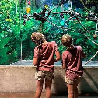 Following a Drop of Water: Our Day at OdySea Aquarium