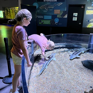 Following a Drop of Water: Our Day at OdySea Aquarium