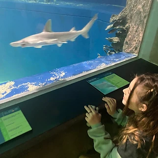 Following a Drop of Water: Our Day at OdySea Aquarium