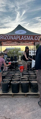 The Legacy Tree Project