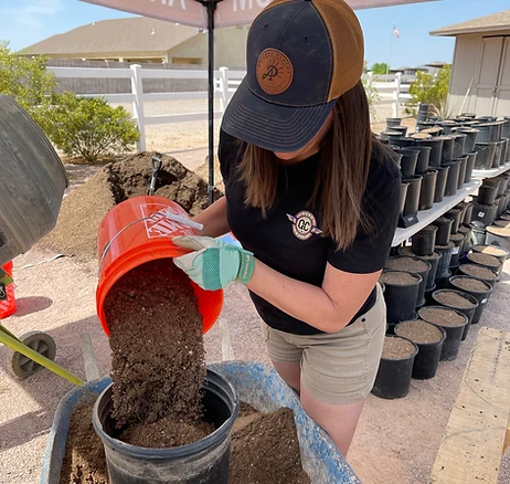 Filling Nursery Pots
