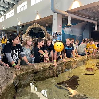 Following a Drop of Water: Our Day at OdySea Aquarium