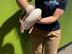An OdySea Aquarium educator holds a snake for students
