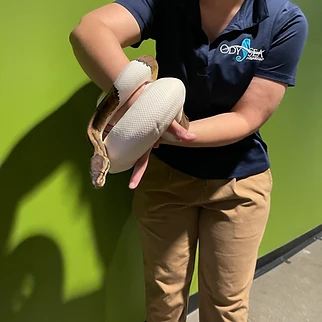 Following a Drop of Water: Our Day at OdySea Aquarium