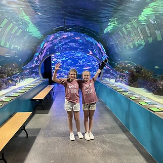Following a Drop of Water: Our Day at OdySea Aquarium