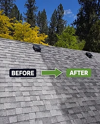 Roof Rejuvenation