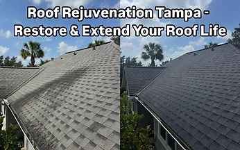 Roof rejuvenation before and after — San Antonio, TX